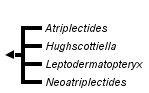 taxon links