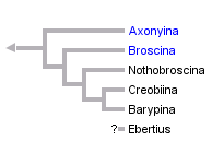 taxon links