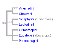 taxon links