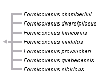 taxon links