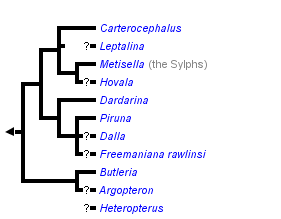 taxon links