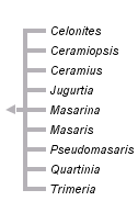 taxon links