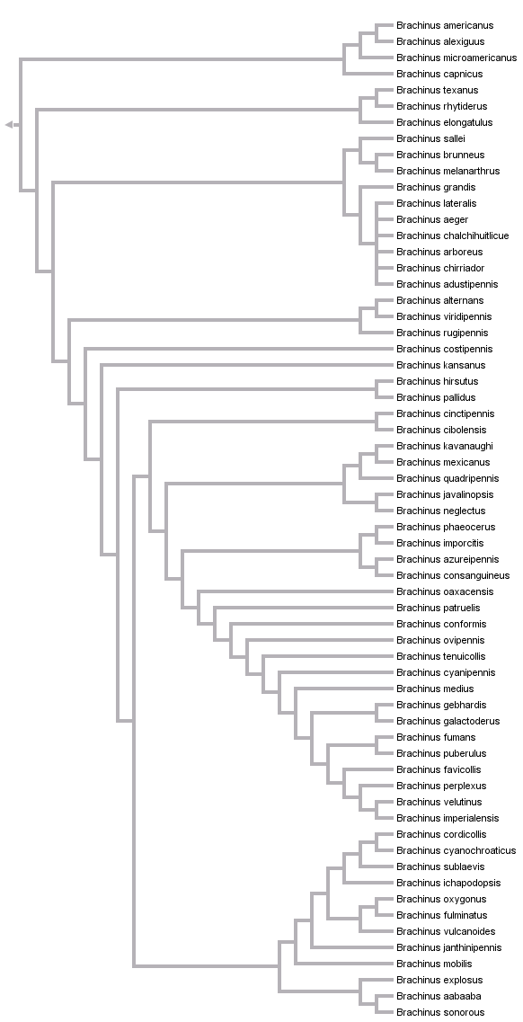 taxon links