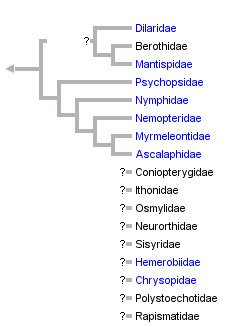 taxon links