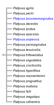 taxon links