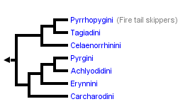 taxon links