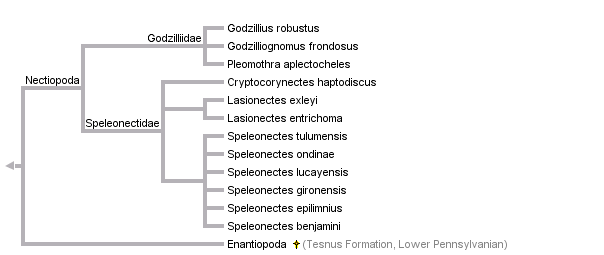 taxon links