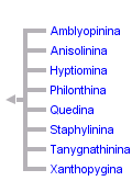 taxon links