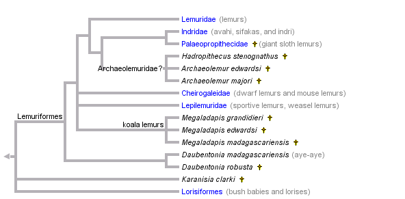 taxon links