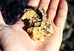 breadcrumb sponge in human hand